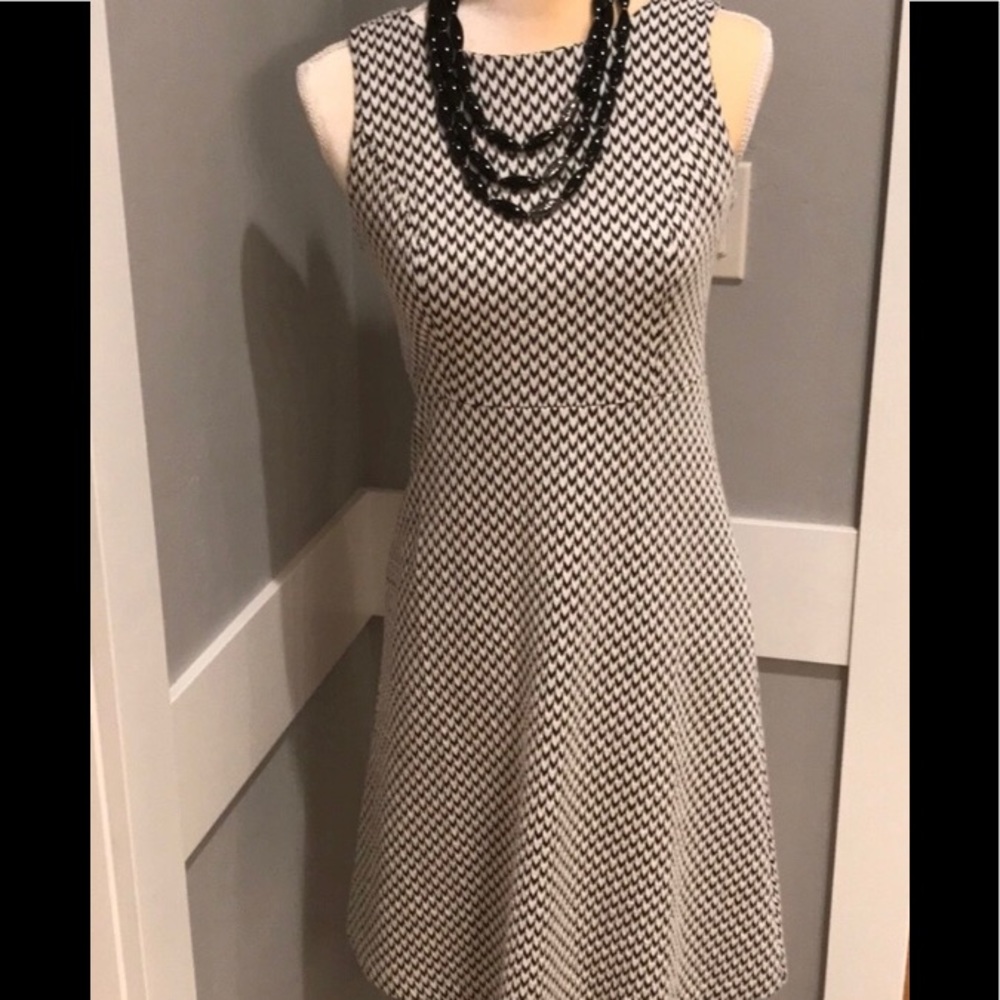 Ann Taylor LoFt fit & flare dress